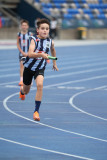 NSW-Relay-Championships-2024-Saturday1765