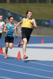 NSW-Relay-Championships-2024-Saturday2819