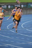 NSW-Relay-Championships-2024-Saturday3310