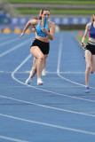 NSW-Relay-Championships-2024-Sunday5129