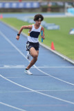 NSW-Relay-Championships-2024-Sunday3986