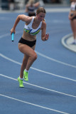 NSW-Relay-Championships-2024-Sunday4252