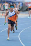NSW-Relay-Championships-2024-Sunday3925