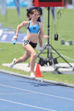 NSW-Relay-Championships-2024-Sunday4217