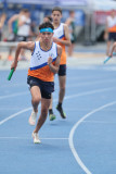 NSW-Relay-Championships-2024-Sunday3923