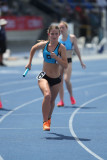NSW-Relay-Championships-2024-Sunday4195