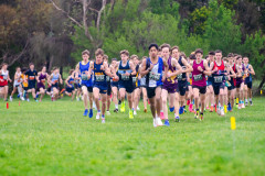 Victorian-Cross-Country-Championships-2024_9039