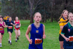 Victorian-Cross-Country-Championships-2024_8943