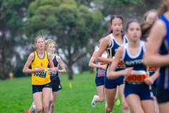 Victorian-Cross-Country-Championships-2024_8934