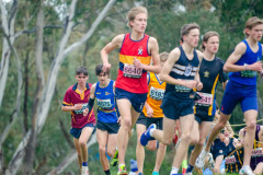 Victorian-Cross-Country-Championships-2024_9314