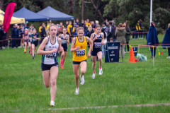 Victorian-Cross-Country-Championships-2024_8736