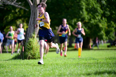 TIM_6951