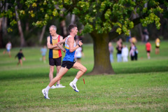 1_TIM_7833