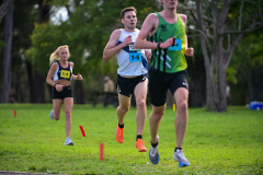 1_TIM_8207