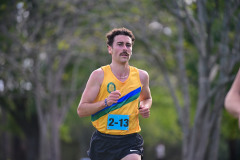 1_TIM_8222