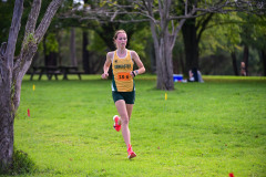 1_TIM_8319
