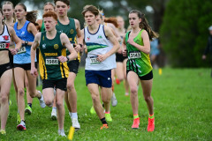 TIM_0441