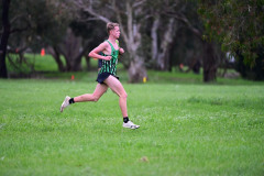 TIM_0863
