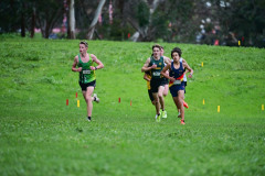 TIM_0872