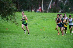 TIM_0873