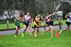 TIM_1076