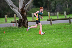 TIM_1142