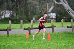 TIM_1162
