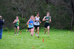 TIM_1196