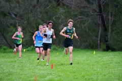 TIM_1199