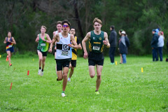 TIM_1219