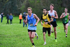TIM_1242