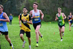 TIM_1246