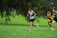 TIM_1304