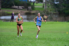 TIM_1483