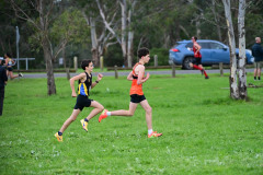 TIM_2019