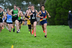 TIM_0398