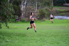 TIM_6393