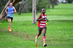 TIM_0185