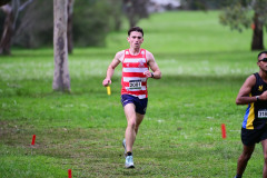 TIM_0209