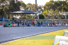 20260314-5DIV9346