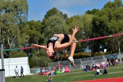 1_TIM_6569_4928x3264_4588626