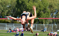 1_TIM_6597_4296x2637_4588776