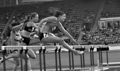 1_TIM_6676_4593x2720_4588780