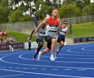 2_TIM_6112_3927x3264_4588747
