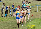 Australian-Cross-Country-Championships-2009_0076_2872x2084_6198151