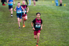 Australian-Cross-Country-Championships-2025-0074