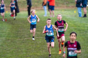 Australian-Cross-Country-Championships-2025-0079 Australian-Cross-Country-Championships-2025-0079