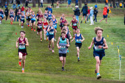 Australian-Cross-Country-Championships-2025-0119 Australian-Cross-Country-Championships-2025-0119