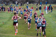 Australian-Cross-Country-Championships-2025-0124 Australian-Cross-Country-Championships-2025-0124