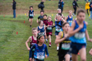 Australian-Cross-Country-Championships-2025-0147 Australian-Cross-Country-Championships-2025-0147